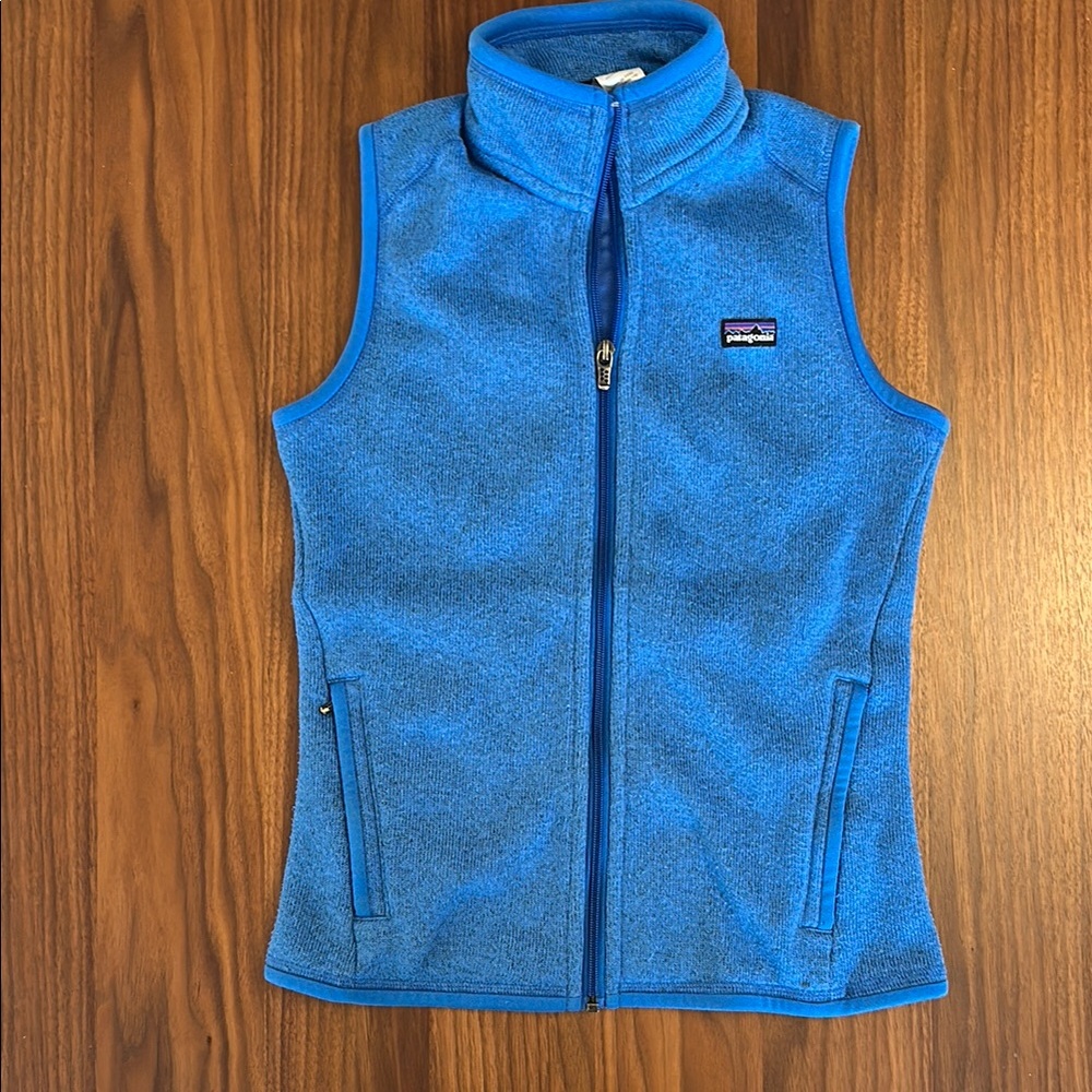 Patagonia Blue Fleece Vest